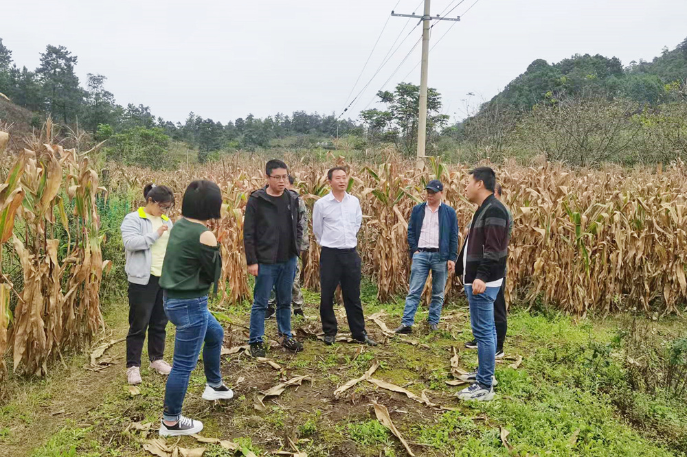 1634693367951604.jpg 永興鄉(xiāng)基度村.jpg